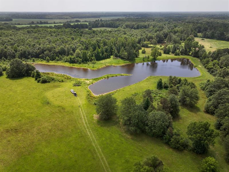 Chuquatonchee Creek 212 Duck, Deer : Okolona : Chickasaw County : Mississippi