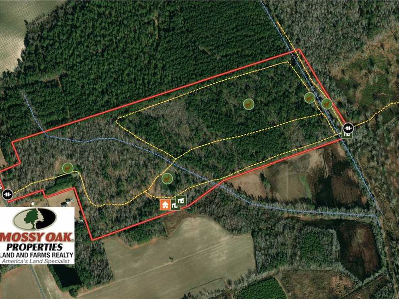 Reduced, 78Acre Hunting Land Land for Sale in Coward, Florence