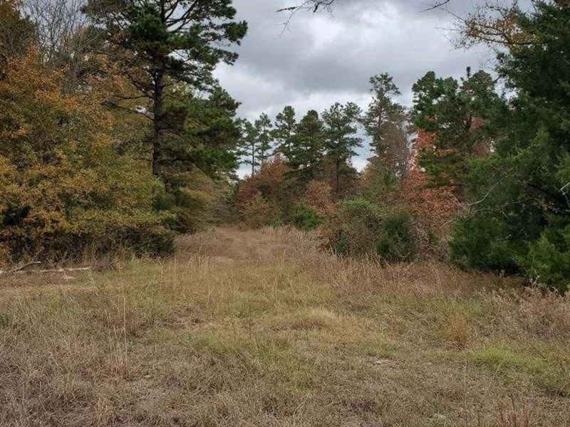 Large Deer Ranch Antlers Oklahoma Land for Sale in Antlers