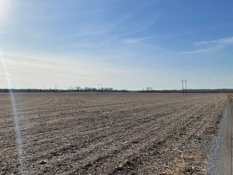 101 Acres MO River Bottom Row Crop, Land for Sale in Missouri, #265194 ...