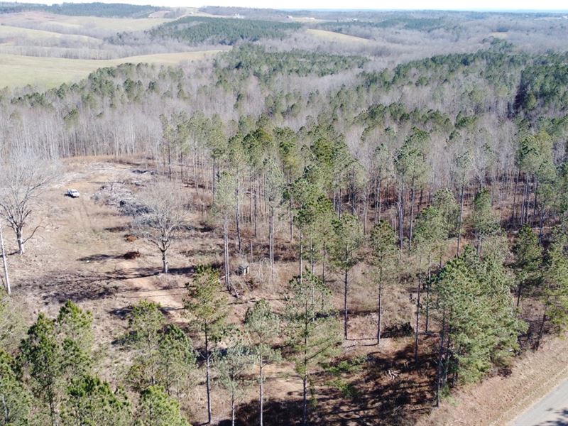 75 Acres of Rec/Timber Land for Sale in Ranburne, Cleburne County