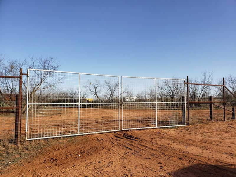 West Texas High-Fenced Hunting : Robert Lee : Coke County : Texas