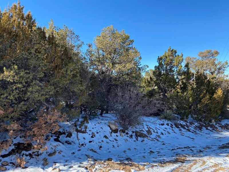 Edgewood, New Mexico Residential : Land for Sale in Edgewood, Santa Fe