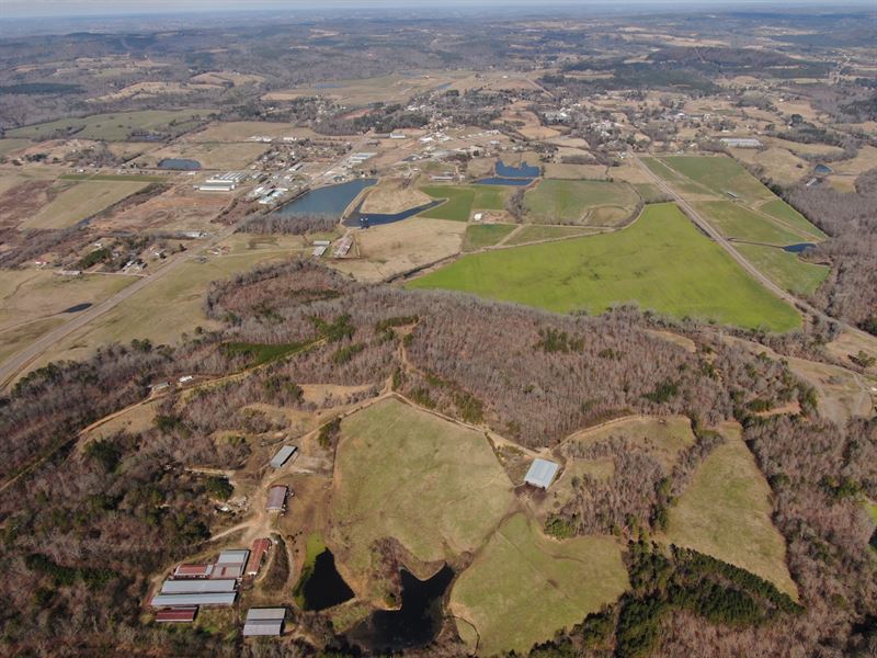 142 Ac. Cleveland, AL : Cleveland : Blount County : Alabama