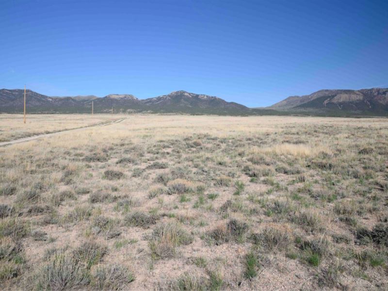 Unique 40 Acre Ranch Elko NV $599 : Land for Sale by Owner in Montello ...