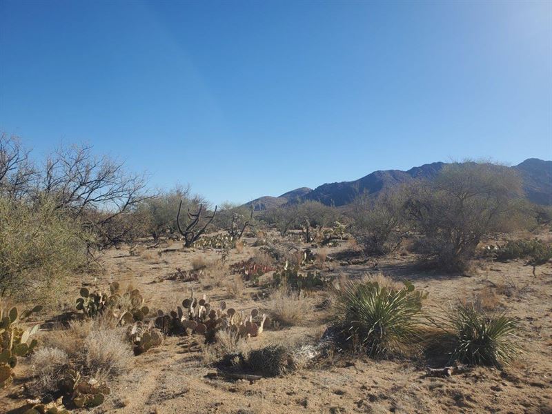 1 AC Diamond Bell Ranch Tucson, AZ : Land for Sale by Owner in Tucson ...