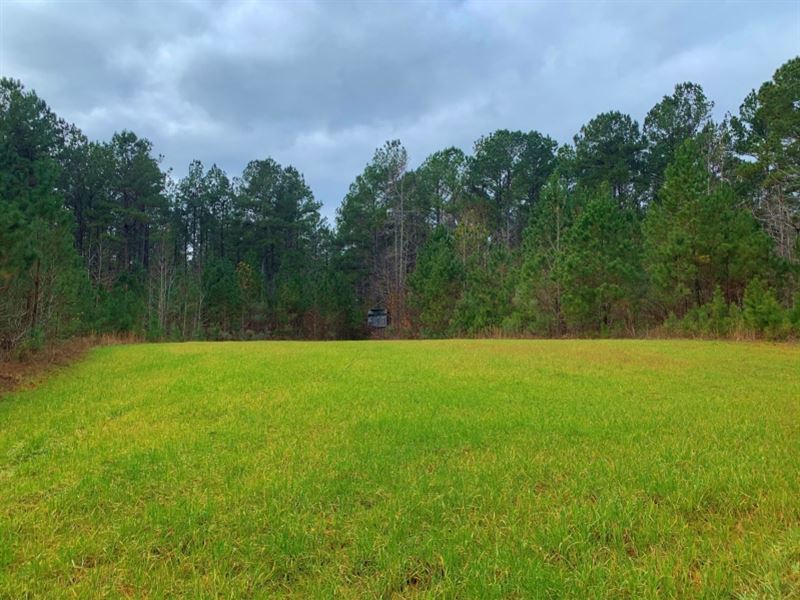 1,195 Per Acre, Cheap Land Land for Sale in Crawfordville