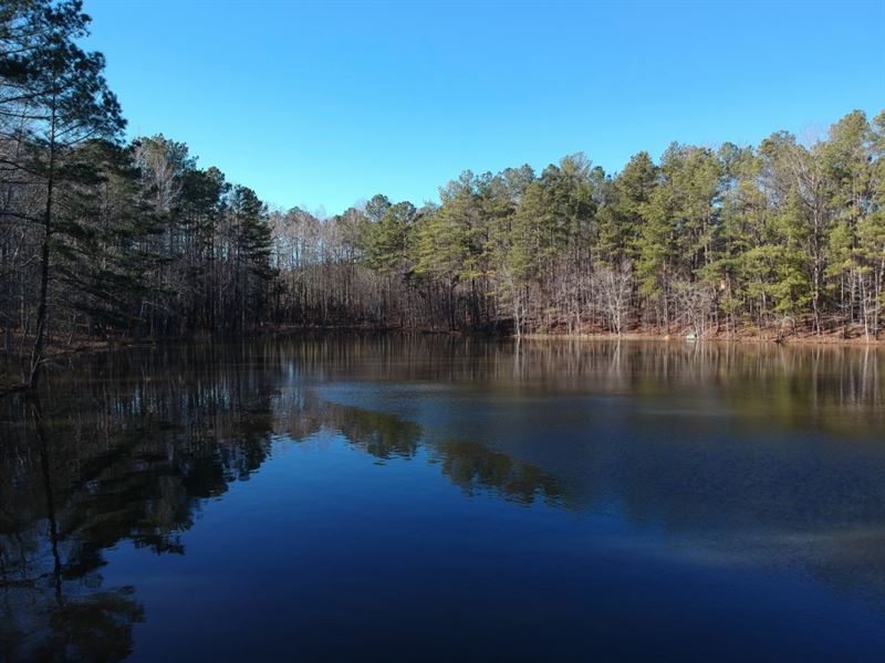 Panoramic Views of Shared Pond, Land for Sale in South Carolina ...