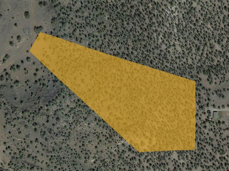 10 Acre Land for Sale in Alturas,Ca Land for Sale by Owner in Alturas