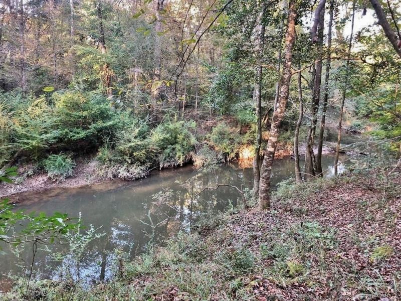 37 Acres On The Amite River Land for Sale in Smithdale, Amite County