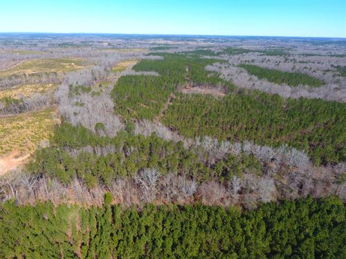 Taylor County Georgia Land for Sale - LANDFLIP