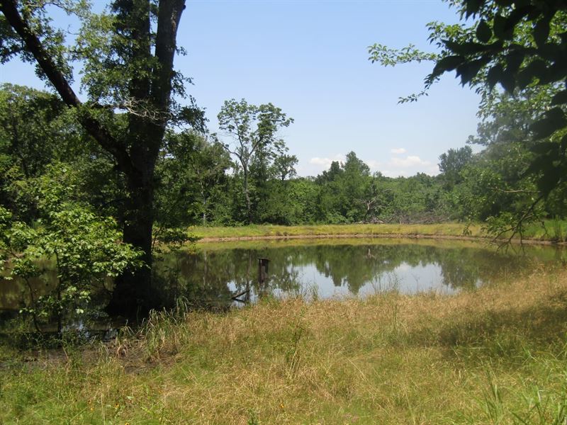 Golden Dove Road Recreational Hunti : Garvin : McCurtain County : Oklahoma