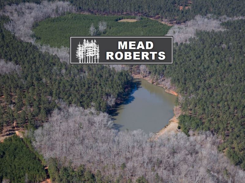 Mead Roberts Tract : Forsyth : Monroe County : Georgia