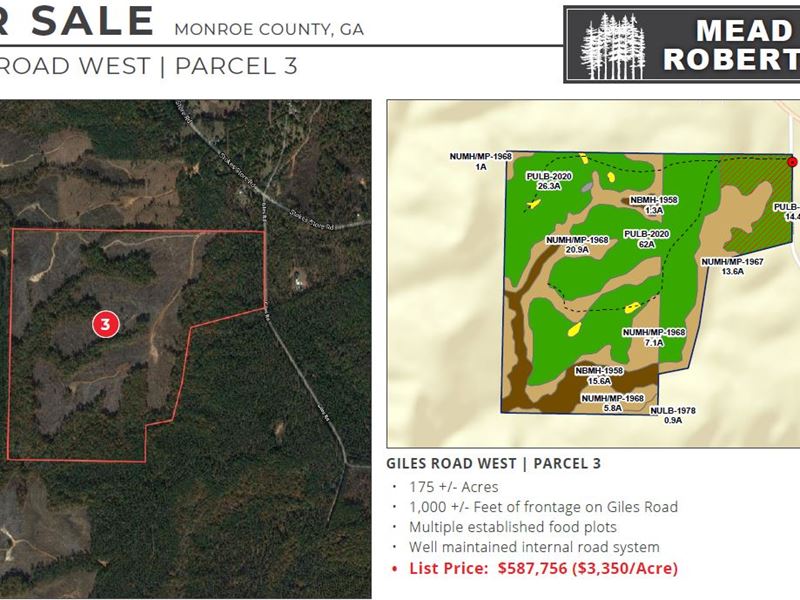 Giles Road West : Forsyth : Monroe County : Georgia