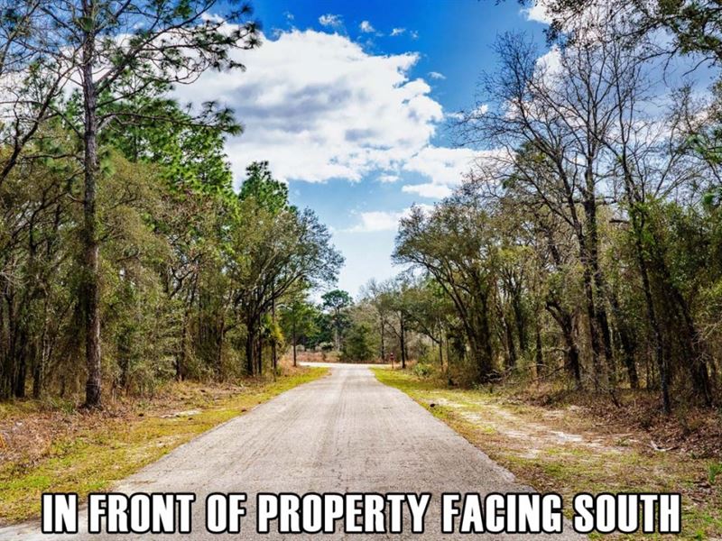 $3,900 Down Payment, Rainbow Lakes : Dunnellon : Levy County : Florida