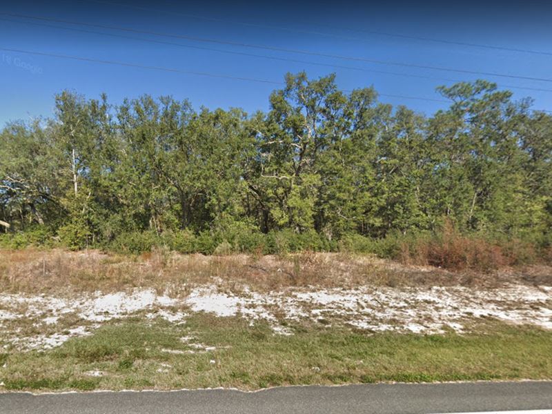 1.38 Ac for Sale in Hawthorne, FL Land for Sale by Owner in Hawthorne