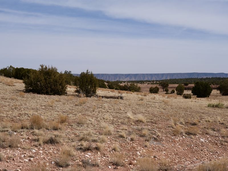 His and Hers Side by Side Lots : Seligman : Yavapai County : Arizona