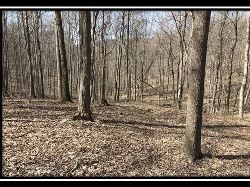 Tract 12, The Woods at Pike Forest : Land for Sale in Bainbridge, Pike ...