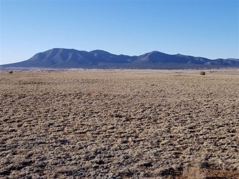 Rare 52 Acreage Mountain Views : Land for Sale in Edgewood, Santa Fe