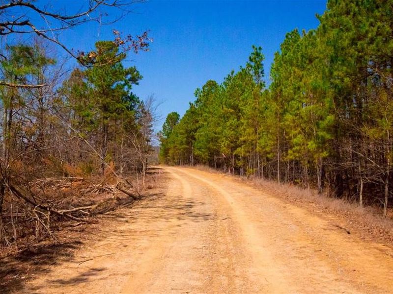 6.04 Acres in Latimer County, OK : Wilburton : Latimer County : Oklahoma