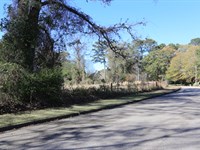 Nice Lot On Woodside Circle : Montgomery : Alabama