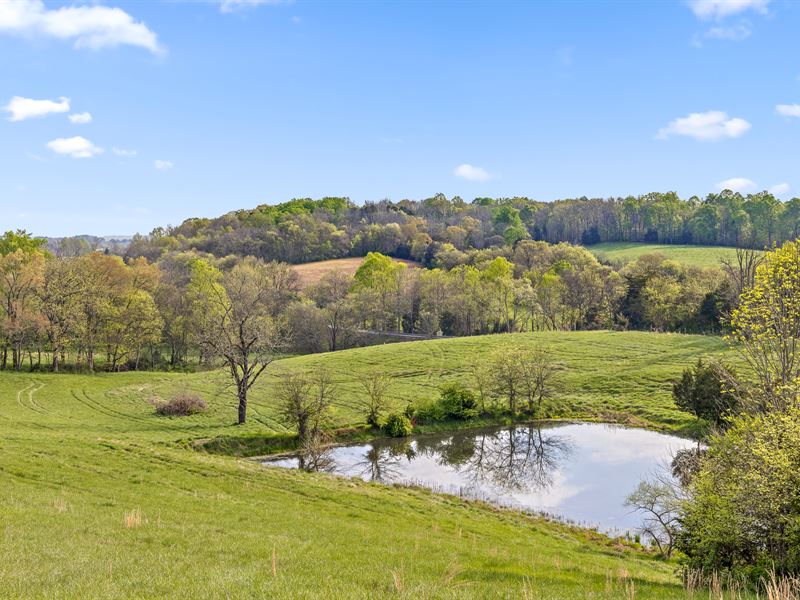 Stunning Pastoral Acreage, Pond, Land for Sale in Tennessee, 276692