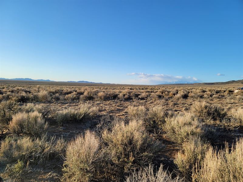 Wild Horse Mesa Views To East, Land For Sale By Owner In Colorado 