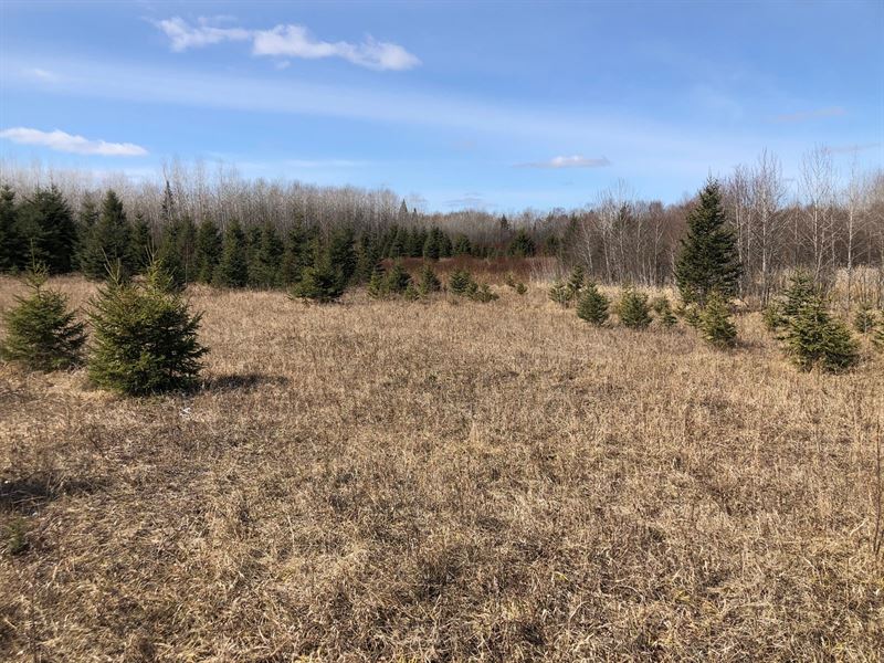 Minnesota Land Auctions at Anne King blog