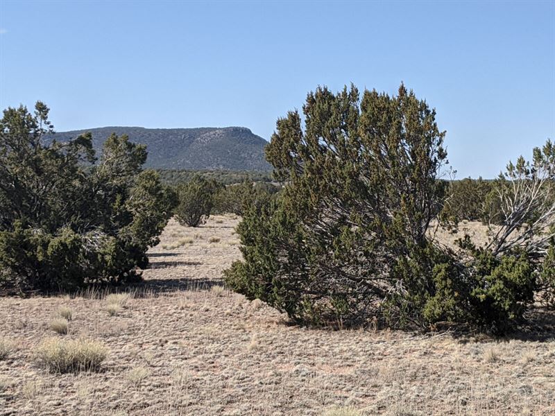 Beautiful Wide Open Land : Seligman : Yavapai County : Arizona