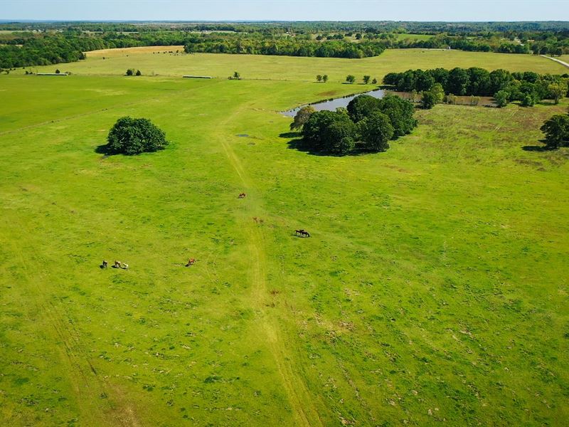 Recreational Ranch Calvin Oklahoma : Land For Sale In Calvin, Hughes 