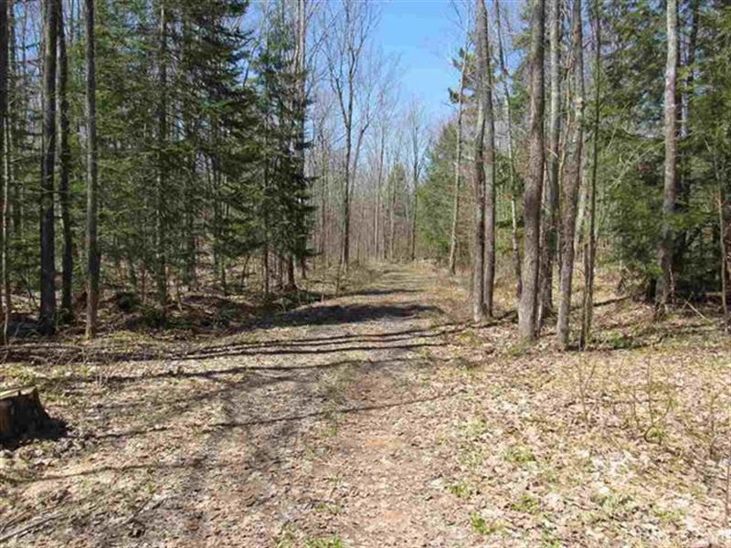 60 Acres Wooded, Michigan : Lake Linden : Houghton County : Michigan