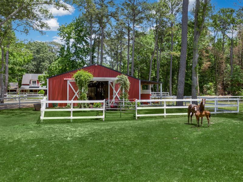 Turnkey Farm with House & Cabin : Johns Island : Charleston County : South Carolina