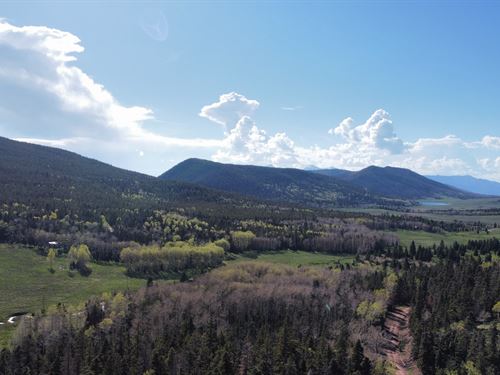 Colorado Camping Land For Sale Landflip