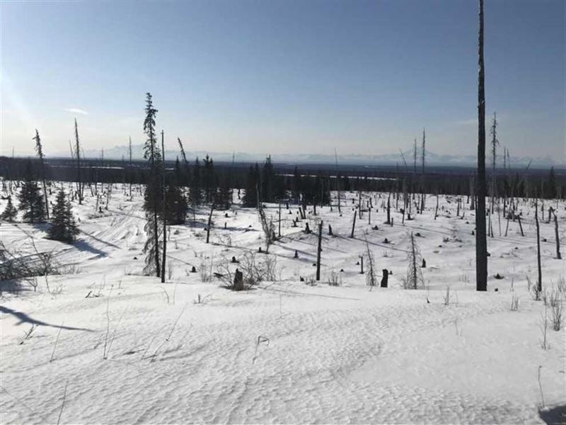 Beautiful Caribou Hills Off Grid or : Ninilchik : Kenai Peninsula Borough : Alaska