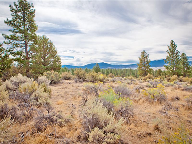 Beautiful Oregon Land for Sale Land for Sale by Owner in Chiloquin