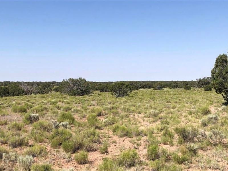 Rare Wide Land for Off Grid Living : Saint Johns : Apache County : Arizona