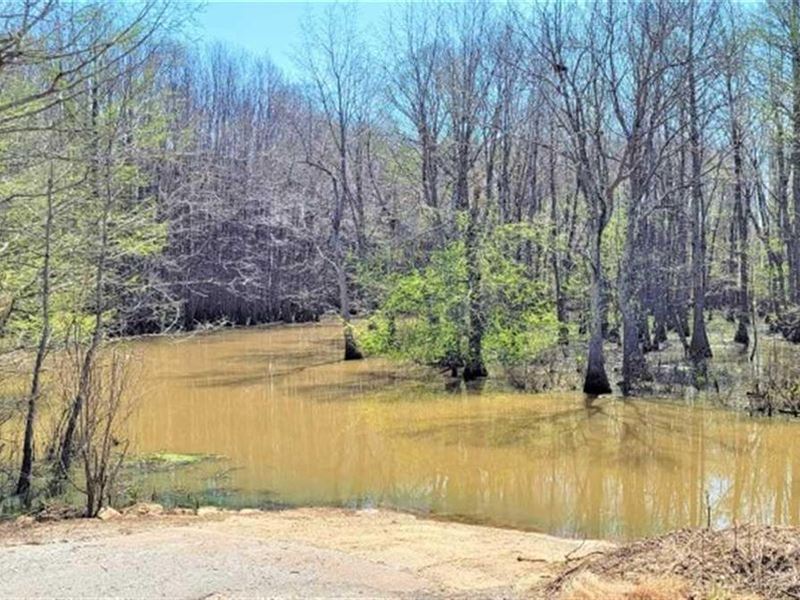 32 Ac. Bangbangbang 'Horns Pool' Du : Alamo : Crockett County : Tennessee