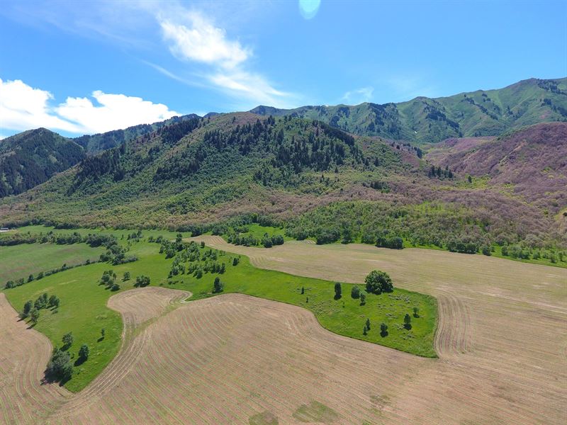 Diamond J Ranch : Wellsville : Cache County : Utah