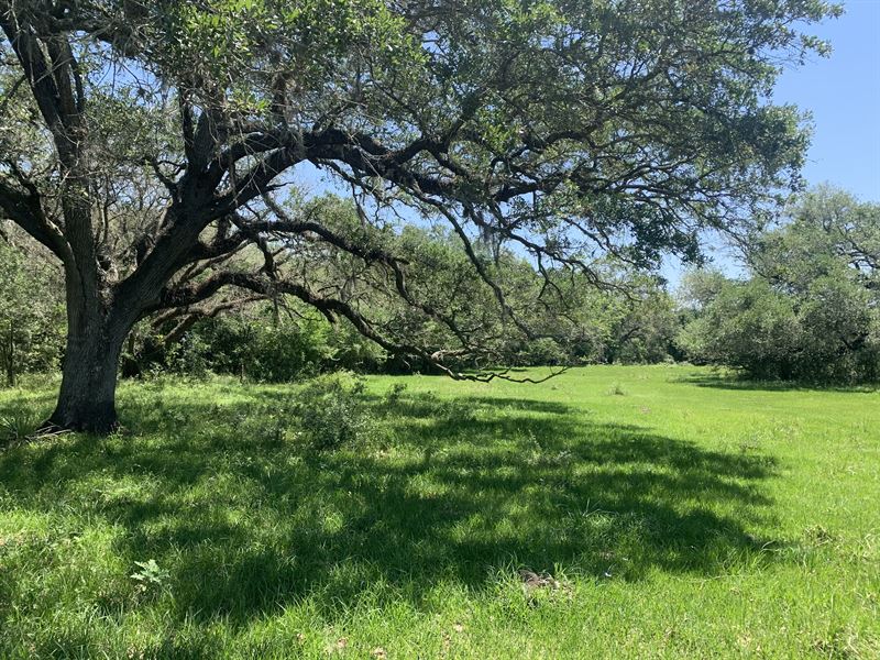 The Headquarters Ranch : Damon : Brazoria County : Texas