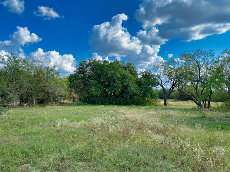 12.56 Acres Owner Financing Land for Sale in Kingsbury, Guadalupe