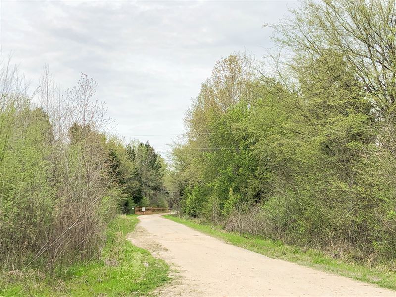 210 Acres, Maya 1004 Tract 12 : Bassett : Bowie County : Texas