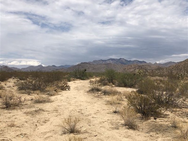 Buildable Lot with a View : Yucca : Mohave County : Arizona