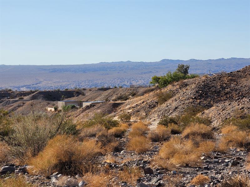 An Acre by The River : Bullhead City : Mohave County : Arizona