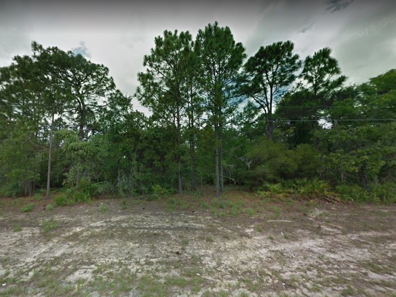 .23 Ac for Sale in Citrus Springs Land for Sale by Owner in Citrus