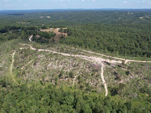 Harriet Arkansas Land for Sale : LANDFLIP