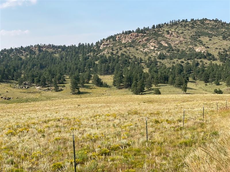 Hardscrabble Spring Ranch : Land for Sale in Westcliffe, Custer County ...