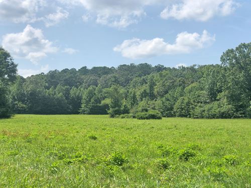 Blount County Alabama Land for Sale : LANDFLIP