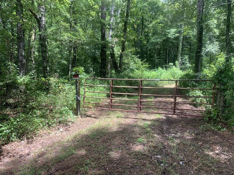 453 Acres Perry Co. Strut Zone : Sprott : Perry County : Alabama