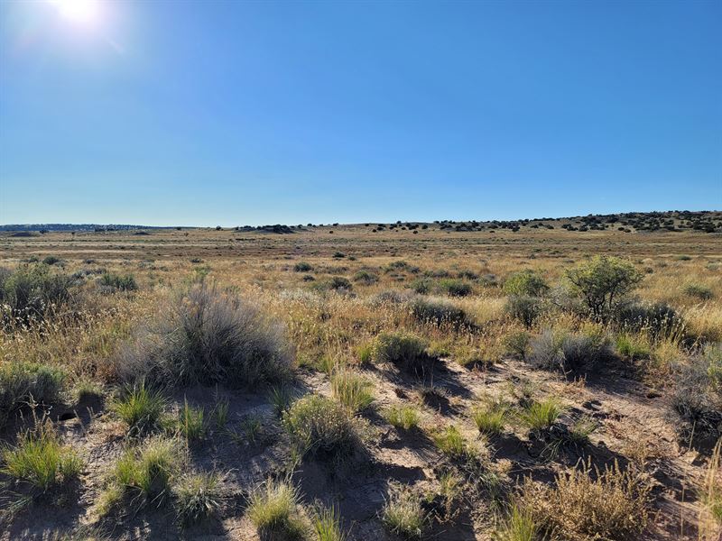 2 Acres with Power Within Reach : Puerco : Apache County : Arizona