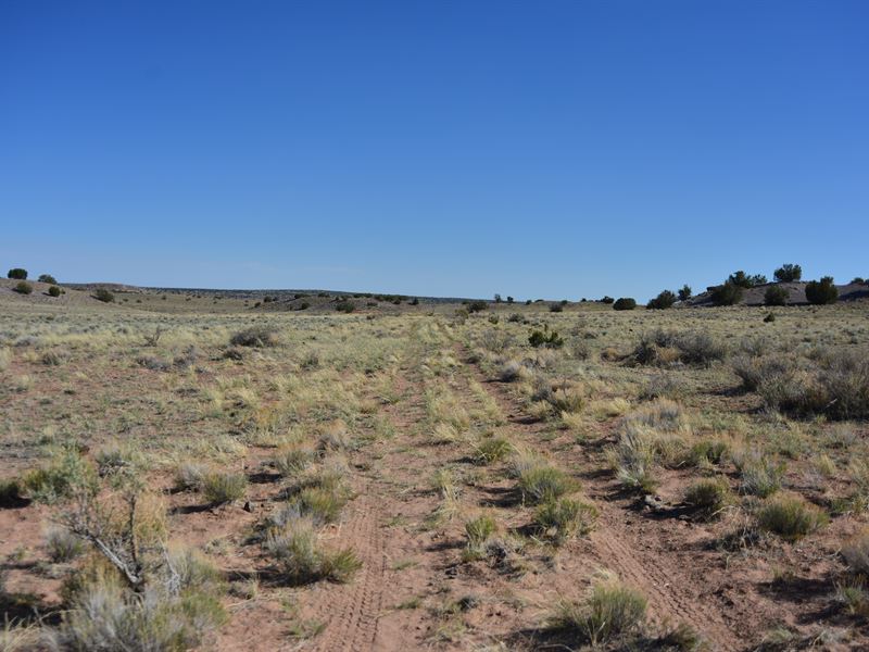 2 Acres to Get Away : Sanders : Apache County : Arizona